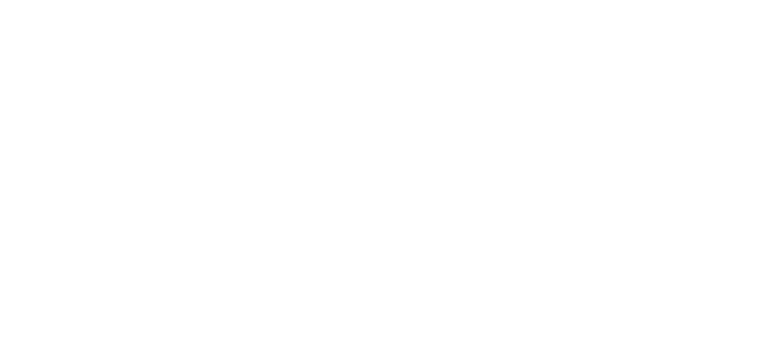 A2G logo hvit